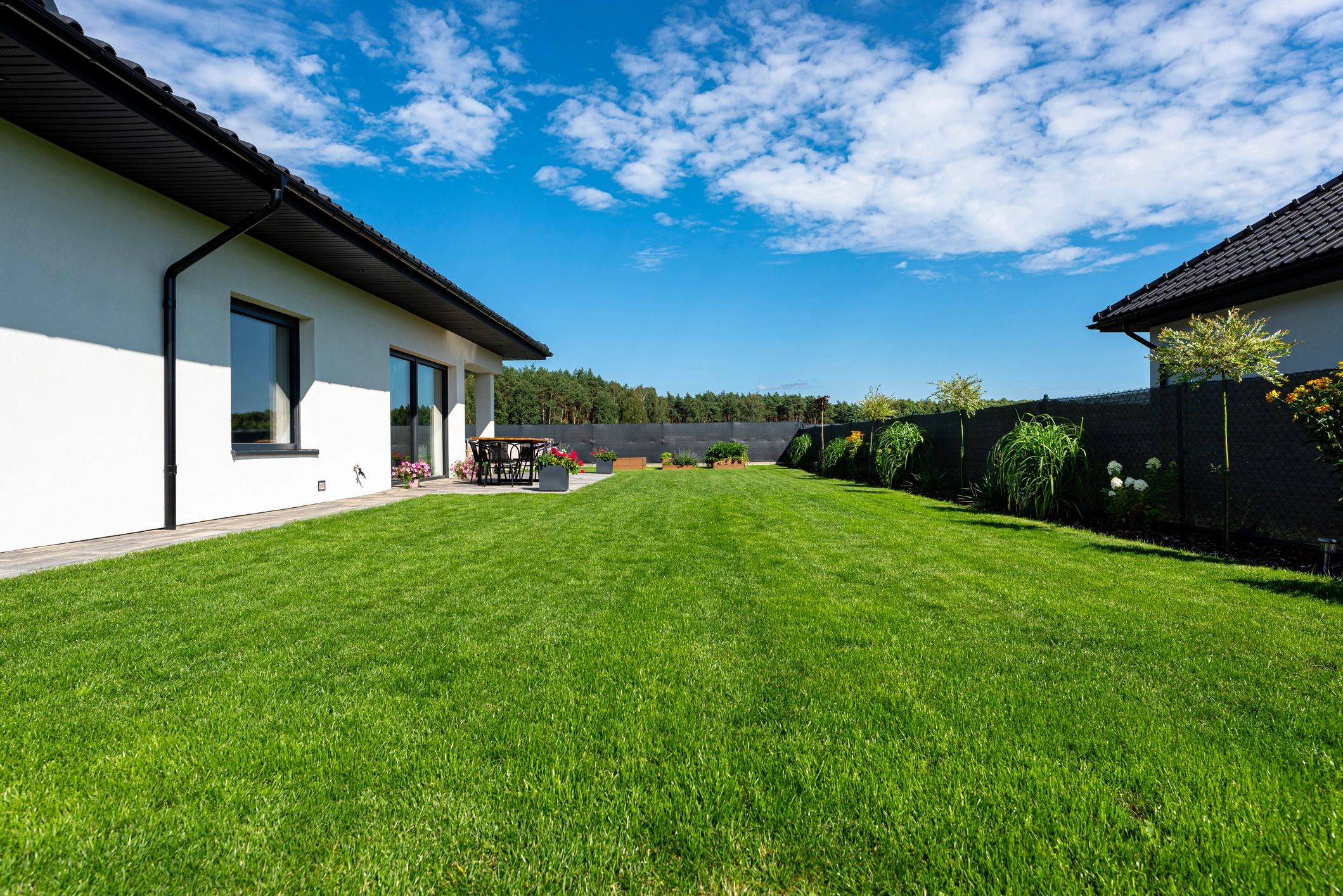 Backyard patio and green lawn in summer